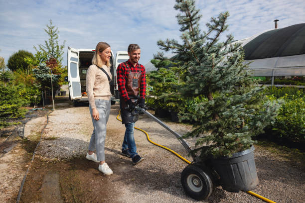 How Our Tree Care Process Works  in  West Lake Hills, TX